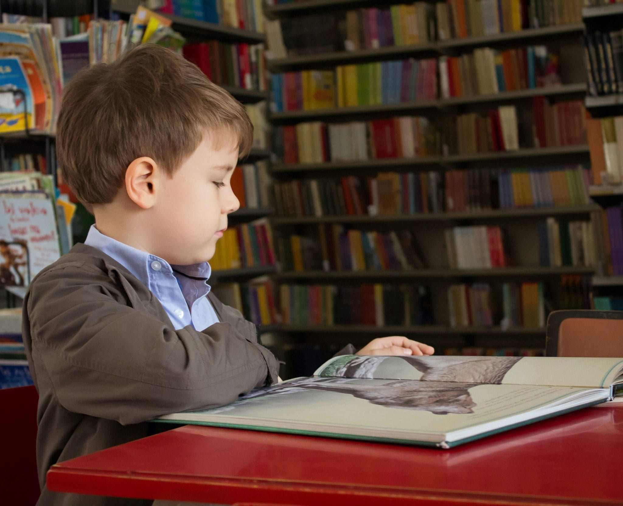 Boy reads K-12 materials